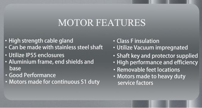 کارایی بالا 2800rpm موتور الکتریکی آلومینیوم خانه برای پمپ استخر شنا 4