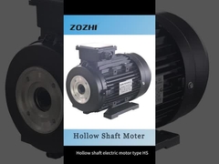 موتور الکتریکی سه فاز اسینکرون هول آشت AC Motor Induction Motor برای ماشین لباسشویی