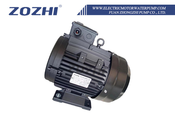 Hollow Shaft Motor For Pressure Cleaners And Washing Plants 4KW 5.5HP B3 87/61 Hollow Shaft 24mm IP55 Protection 1400rpm Three Phase 380V For  Interpump