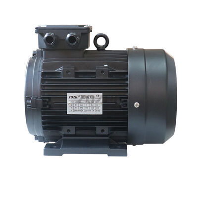 Fans 3 Phase Induction Motor Output 0.09KW 0.12HP Rated Voltage 220V 380V 440V 550V 660V Ideal for Heavy Duty Operations