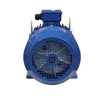 Flow Rate 500 GPH 3 Phase Induction Motor Rated Voltage 220V 380V 440V 550V 660V Built to Support Heavy Industrial Loads