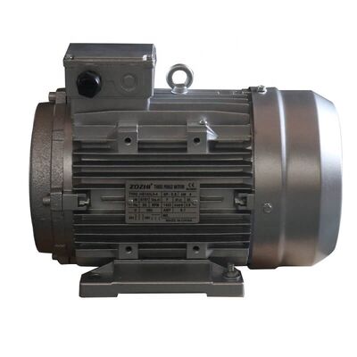 Above Sea Level Not Exceed 1000m 3 Phase Induction Motor Featuring Roller Bearings and Aluminum Front Cover With Brass Insert Engineered