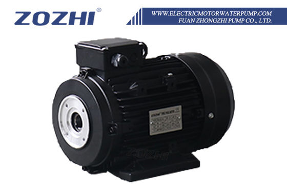 HS100L3-4 موتور الکتریکی شاخه توخالی 3 kW / 4 HP با اتصال مستقیم شاخه توخالی و عایق بندی کلاس F برای پمپ های صنعتی