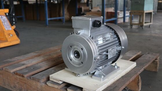 Made In Hollow Shaft Motor Featuring 22KW 30HP Power Range Class F Insulation Suitable For Heavy Duty Industrial Systems